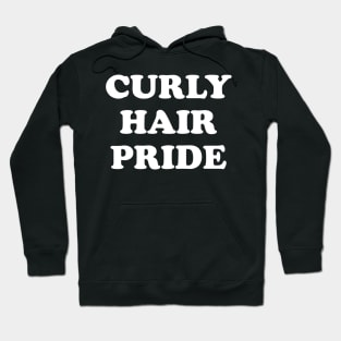 Curly Hair Pride Florida Say Gay Funny Gay Curly Haired Hoodie